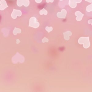 Meet your Posher, Loren